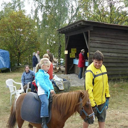 Holiday Home In Wietzendorf In The L Neburg Heath With A View Of The Countryside エクステリア 写真