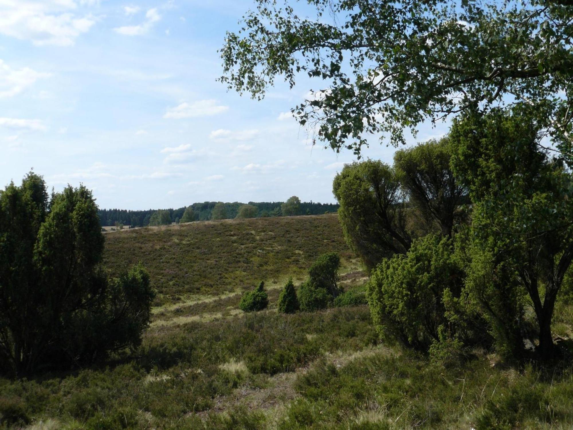 Holiday Home In Wietzendorf In The L Neburg Heath With A View Of The Countryside エクステリア 写真