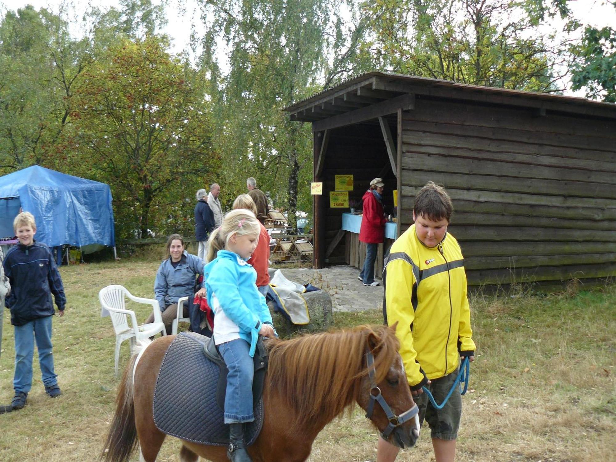 Holiday Home In Wietzendorf In The L Neburg Heath With A View Of The Countryside エクステリア 写真