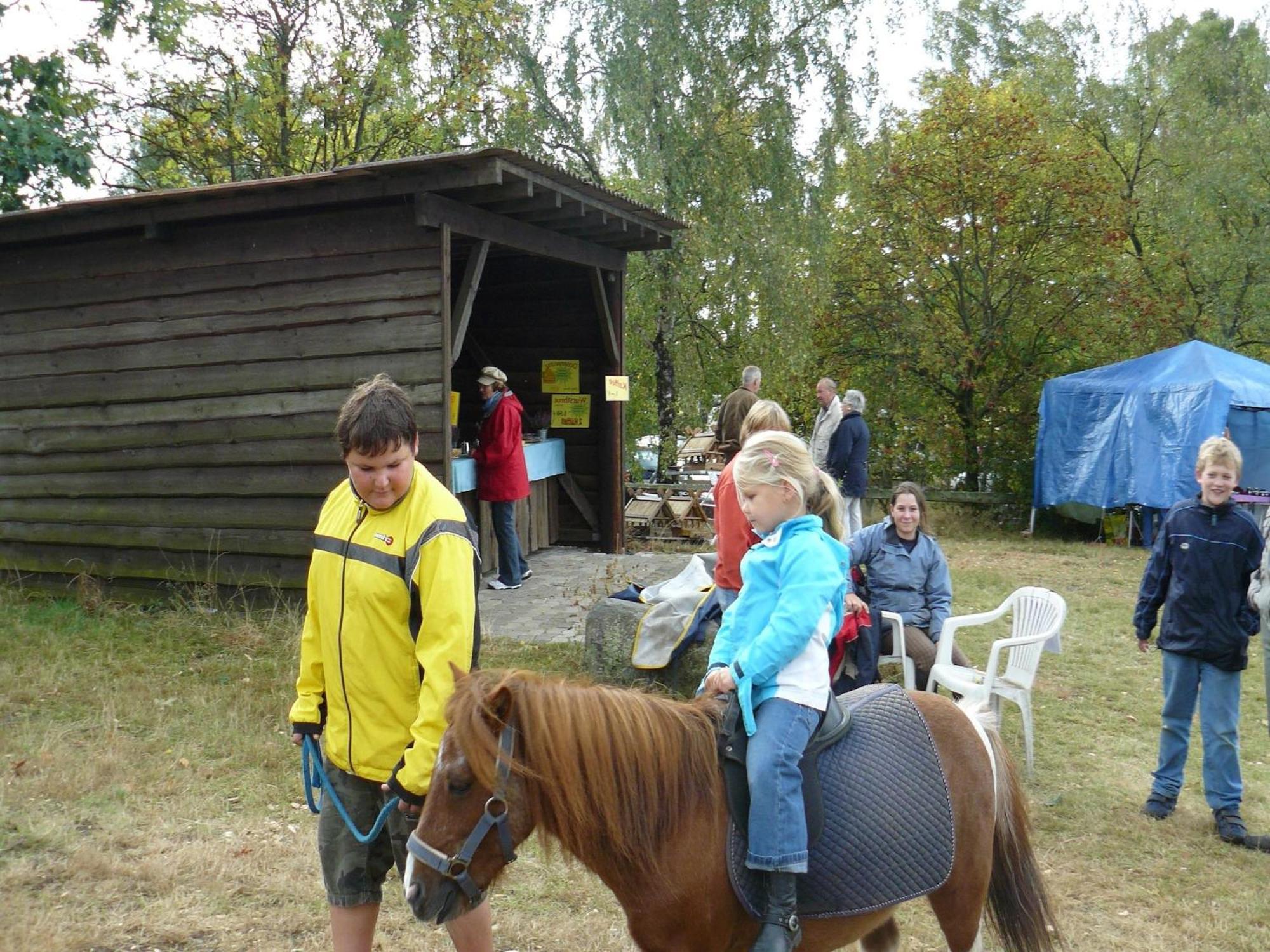Holiday Home In Wietzendorf In The L Neburg Heath With A View Of The Countryside エクステリア 写真