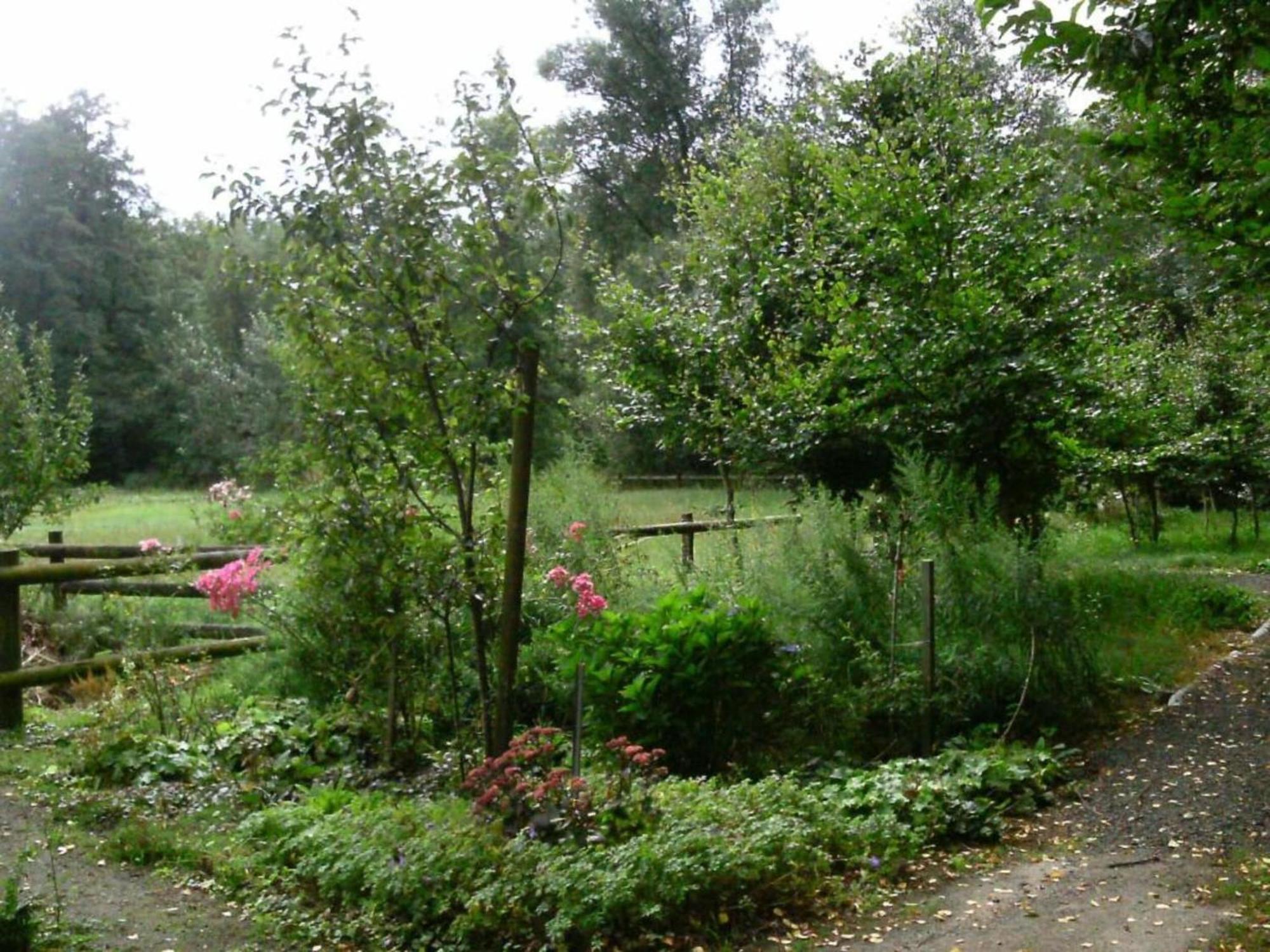 Holiday Home In Wietzendorf In The L Neburg Heath With A View Of The Countryside エクステリア 写真
