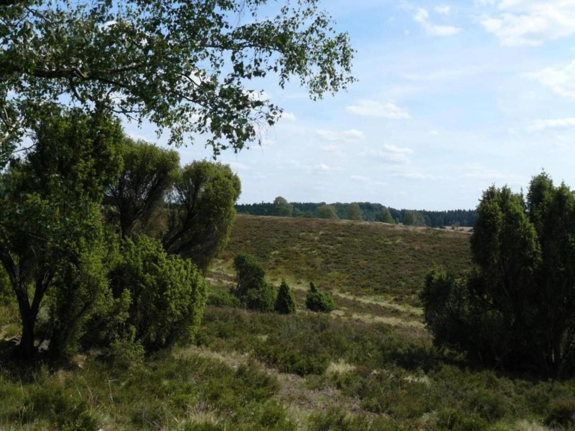 Holiday Home In Wietzendorf In The L Neburg Heath With A View Of The Countryside エクステリア 写真